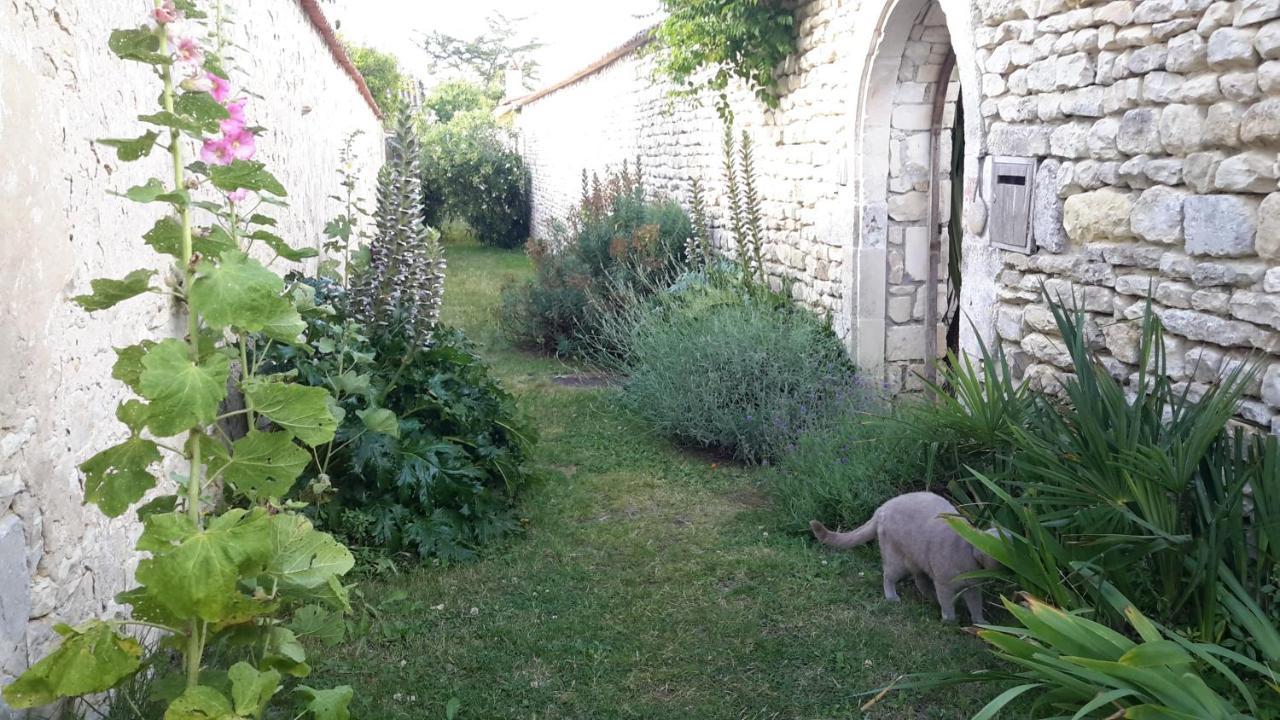 Saint-Martin-de-Ré Les Jardins De Clerjotte B&B 외부 사진